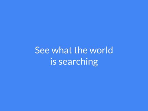"See what the world is searching" on blue background